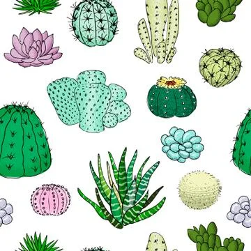 Colored cactuses seamless pattern, hand drawn vector illustration. Succulent Stock Illustration