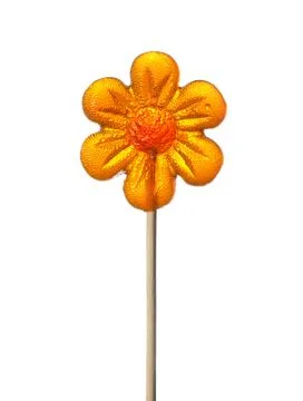 Colored candy on a stick in the form of a cockerel heart and flowers 写真素材