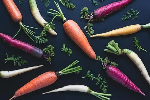 Colored carrots pattern on black background, rainbow carrots flat lay, top vi Stock-Fotos