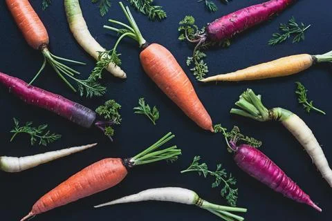 Colored carrots pattern on black background, rainbow carrots flat lay, top vi Stock Photos