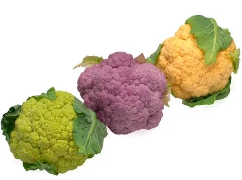 Colored cauliflower path isolated on white top view Stock Photos