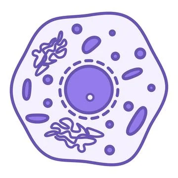 Colored Cell Icon. Vector Illustration. Elementary Unit Of The Structure Of.. Stock Illustration