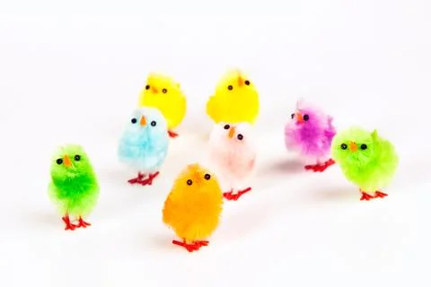 Colored chicken Stock Photos