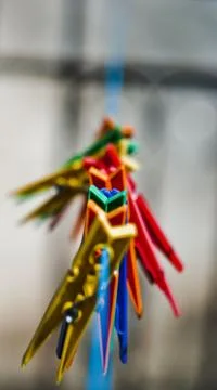 Colored clothes pegs Stock Photos