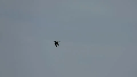 Colored Clouds at Sunset Stock Photos