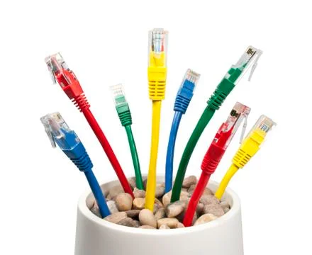 Colored Computer Network Cables Growing in a Flower-pot Foto stock