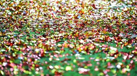 Colored confetti on the ground after celebration event Stock-Footage 64793928