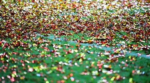 Colored confetti on the ground after celebration event 動画素材 64793942