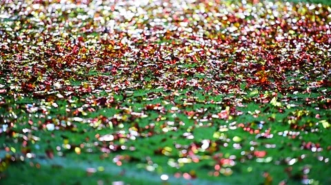 Colored confetti on the ground after celebration event Vidéo 64793943