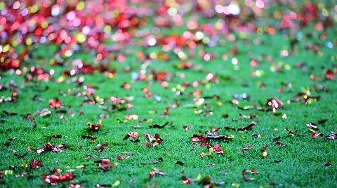Colored confetti on the ground after celebration event Vídeo Stock 64793955