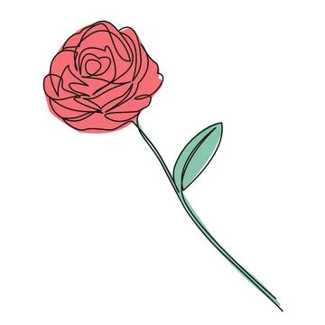 Colored continuous single line drawing of a rose イラスト素材