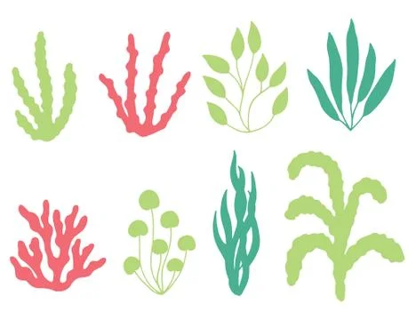 Colored corals and seaweed vector silhouette. isolated on white background Stock Illustration