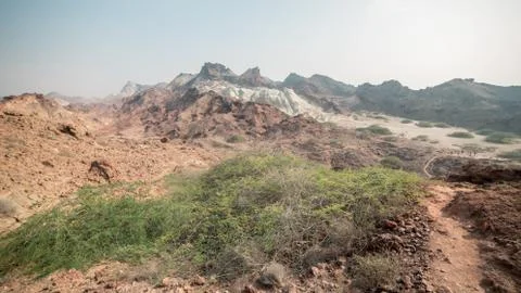 Colored desert mountains with trees on the top Stock Photos