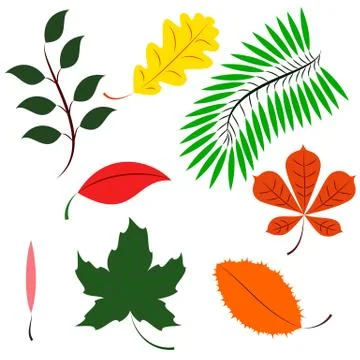Colored different leaves Stock Illustration