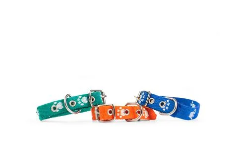 Colored dog collars on a white background with copy space Stock Photos