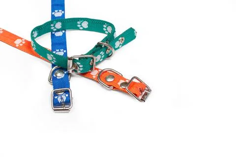 Colored dog collars on a white background with copy space Stock Photos