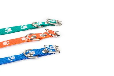 Colored dog collars on a white background with copy space Foto stock