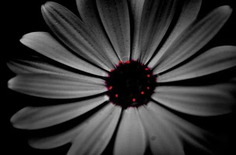 Colored dots Stock Photos