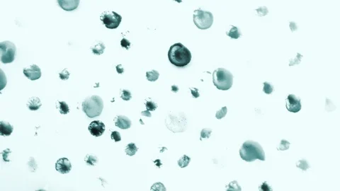 Colored Dots Rotating Animation Background X-ray effect Stock Footage 103876073