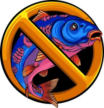 Colored draw of Carp Fish Vector Illustration design 스톡 일러스트