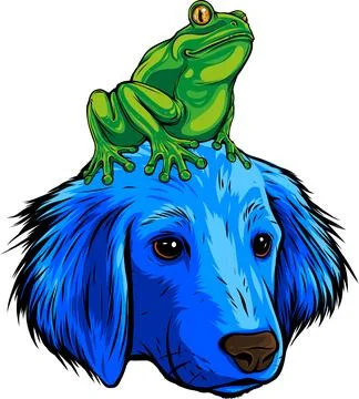 Colored draw of frog vector illustration design Stock Illustration