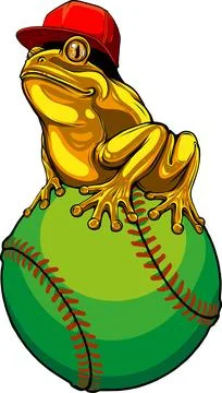 Colored draw of frog vector illustration design Stock Illustration