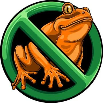 Colored draw of frog vector illustration design Stock Illustration