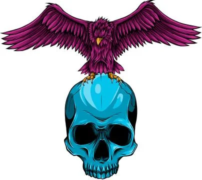 Colored draw of human skull vector illustration design Stock Illustration