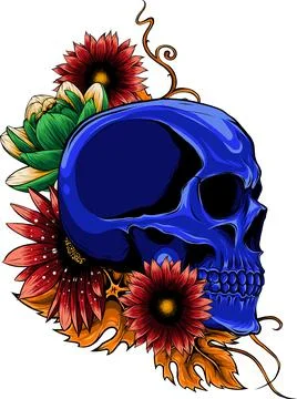 Colored draw of human skull vector illustration design Illustrazione stock