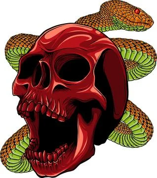 Colored draw of human skull vector illustration design Illustrazione stock