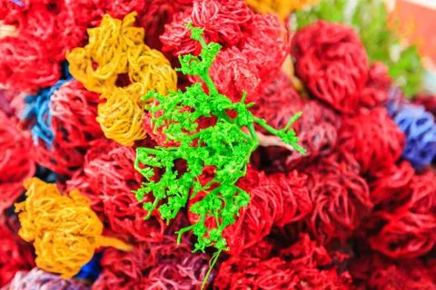 Colored dried algae Stock Photos