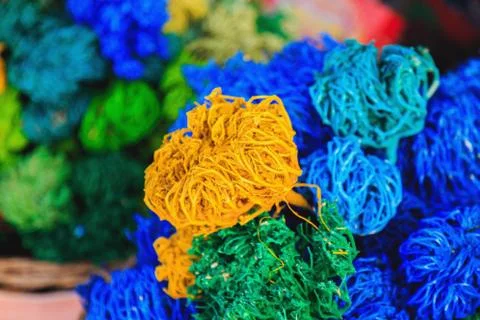 Colored dried algae Stock Photos