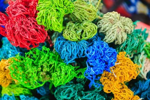 Colored dried algae Stock Photos