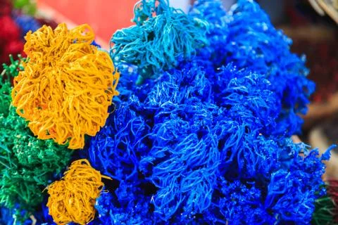 Colored dried algae Stock Photos