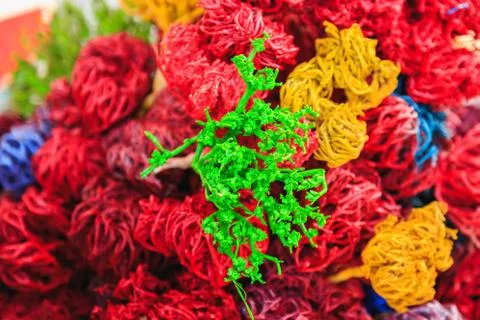 Colored dried algae Stock Photos