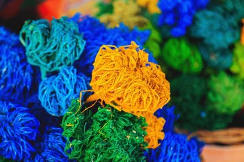 Colored dried algae Foto stock