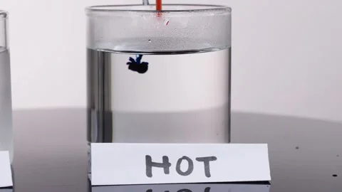 Colored Dye Diffusing in Hot Water Glass Science Experiment Video stock 319614489