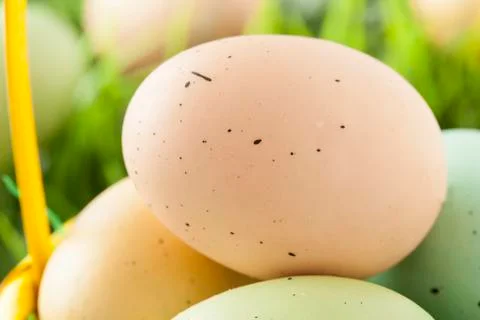 Colored dyed easter eggs 写真素材