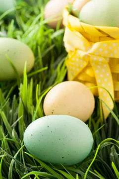 Colored dyed easter eggs 写真素材
