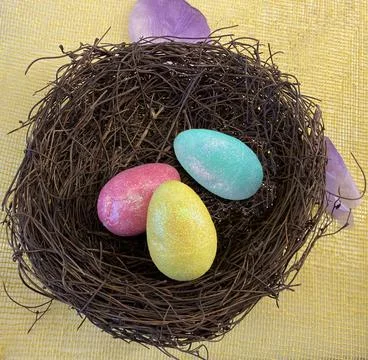 Colored Easter Egg inside a little bird nest. Easter Celebration. Stock Photos