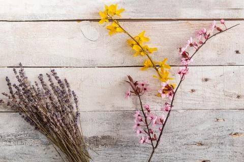 Colored easter egg on wood background Stock Photos