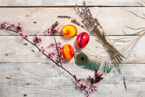 Colored easter egg on wood background Stock Photos