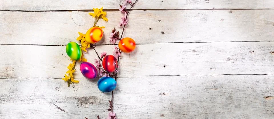Colored easter egg on wood background Stock Photos