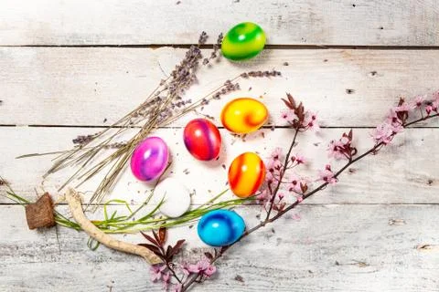 Colored easter egg on wood background Stock Photos