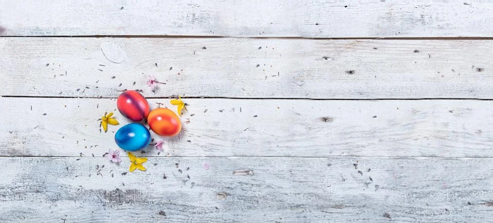 Colored easter egg on wood background Stock Photos