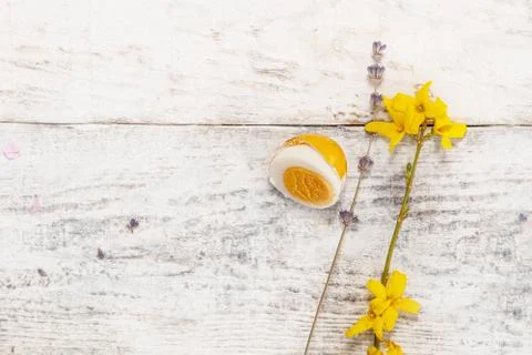 Colored easter egg on wood background Stock Photos