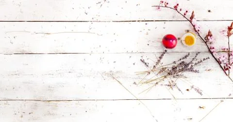 Colored easter egg on wood background Stock Photos