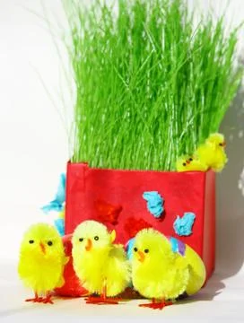 Colored easter eggs and chickens in green grass with white backg Stock Photos