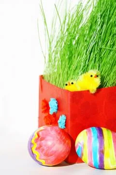 Colored easter eggs and chickens in green grass Stock Photos