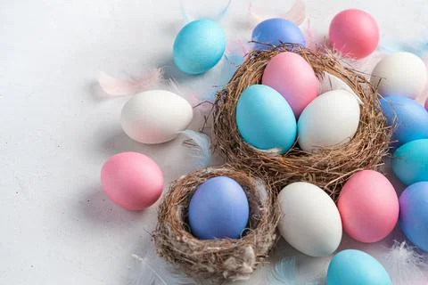 Colored Easter eggs and nests on a gray background. Stock Photos